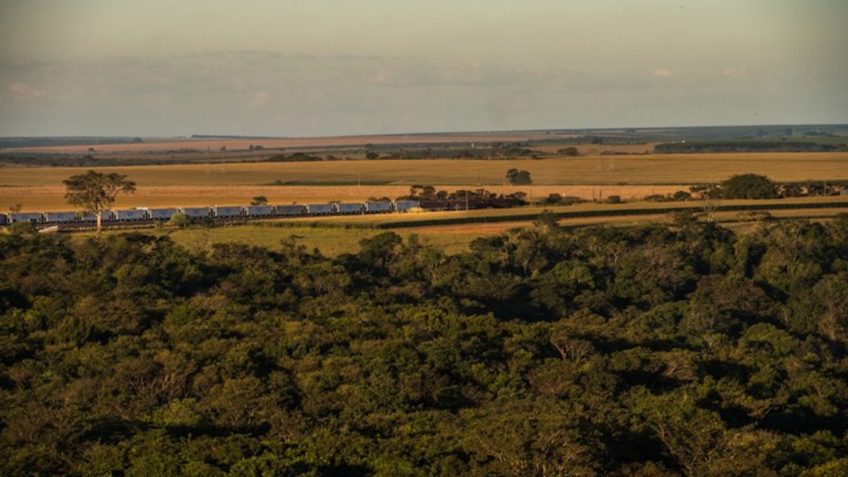 Ferrovia Centro-Atlântica