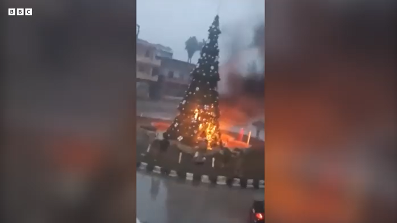 Vídeo mostra árvore em chamas enquanto pessoas jogam líquido nela